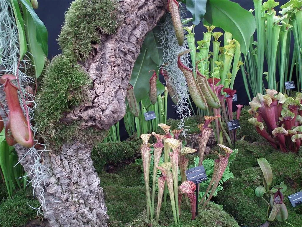 Floral marquee in the long water area 57